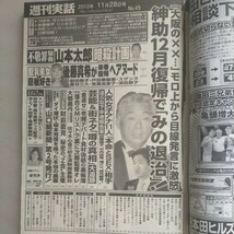 送料無料即決！週刊実話2013年11月28日号亜里沙瑠川リナ水島裕子山本太郎みのもんた島田紳助安西玲奈後藤真希_画像2