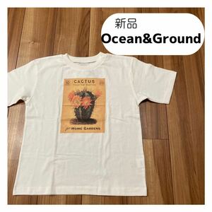 新品 新品 Ocean&Ground オーシャンアンドグラウンド 半袖 Tシャツ ビッグロゴ コットン100% サイズ150 玉mc1824
