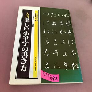 A50-095 入門 美しい小筆字の書き方 浜田素山 日本文芸社