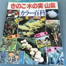 A52-102 野山の幸をまるごとたのしむ きのこ・木の実・山菜カラー百科 付録 毒きのこ・毒草 見分け方と応急処置 主婦と生活社 _画像1