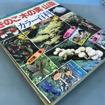 A52-102 野山の幸をまるごとたのしむ きのこ・木の実・山菜カラー百科 付録 毒きのこ・毒草 見分け方と応急処置 主婦と生活社 _画像2