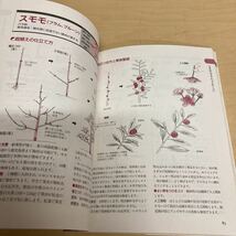 図解　家庭果樹の育て方　剪定のコツ_画像6