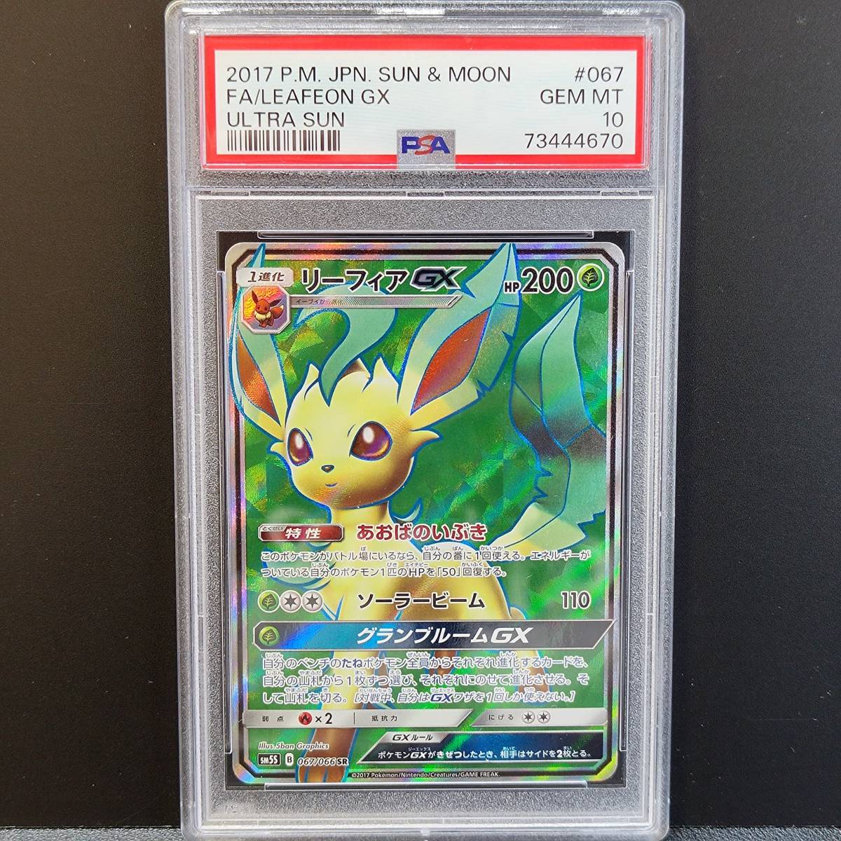 2023年最新】ヤフオク! -リーフィアの中古品・新品・未使用品一覧