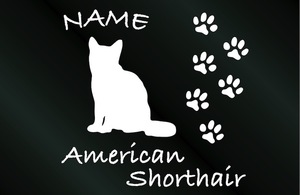 名前入り 猫のステッカー アメリカンショートヘア Aタイプ 猫 シール ステッカー