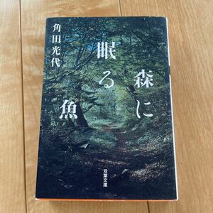 森に眠る魚 （双葉文庫　か－３０－０３） 角田光代／著