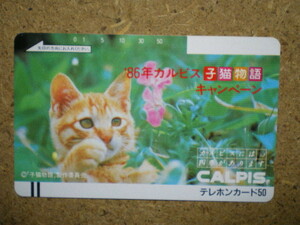 neko・110-5702　子猫物語　カルピス　テレカ