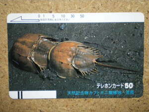 doub・110-2044　カブトガニ　天然記念物　笠岡　テレカ