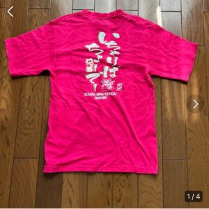 沖縄　Tシャツ