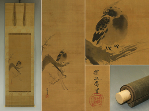 Art hand Auction [Authentic work] Tanyu Kano [Plum and tailed bird] ◆ Silk book ◆ Box ◆ Hanging scroll v11084, painting, Japanese painting, flowers and birds, birds and beasts