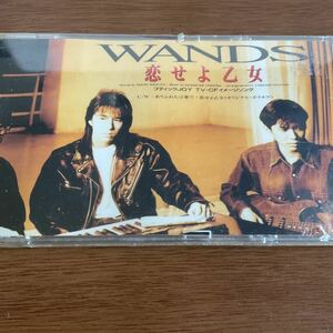 ◆◆ CD 恋せよ乙女／ＷＡＮＤＳ　◆◆