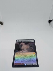 MTG　【JP】【Foil】(277)■ボーダーレス■《狡猾な相棒、ミラ/Mila, Crafty Companion》/《むら気な眷者、ルーカ/Lukka, Wayward Bonder》