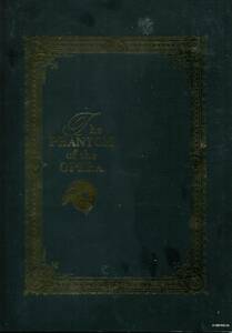 劇団四季 オペラ座の怪人 2007 パンフレット★高井治 村俊英 佐野正幸★ミュージカル パンフ aoaoya