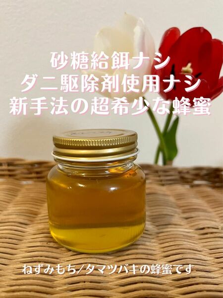 【砂糖給餌・ダニ駆除剤ナシ】他で買えない超希少国産蜂蜜 120g【ねずみもち】