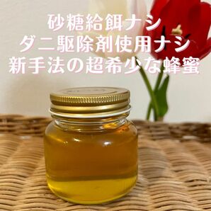 【砂糖給餌・ダニ駆除剤ナシ】他で買えない超希少国産蜂蜜 120g【ねずみもち】