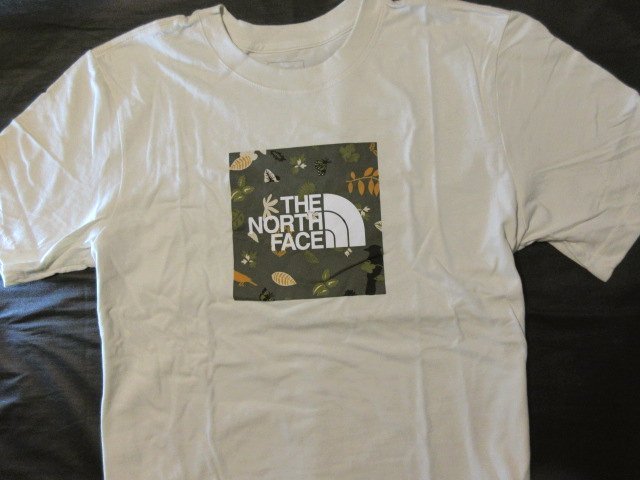 本物正規◇ノースフェイス◇Tシャツ ボックスロゴ BOXED IN □M□白