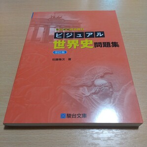 改訂版 ビジュアル世界史問題集 駿台受験シリーズ 駿台文庫 駿台予備学校 佐藤專次 中古 大学入試 受験 社会 世界史 歴史