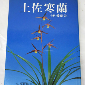 07K139 希少 当時物 昭和59年「土佐寒蘭」 保育社 ・土佐愛蘭会 長期保管 現状 売り切りの画像1