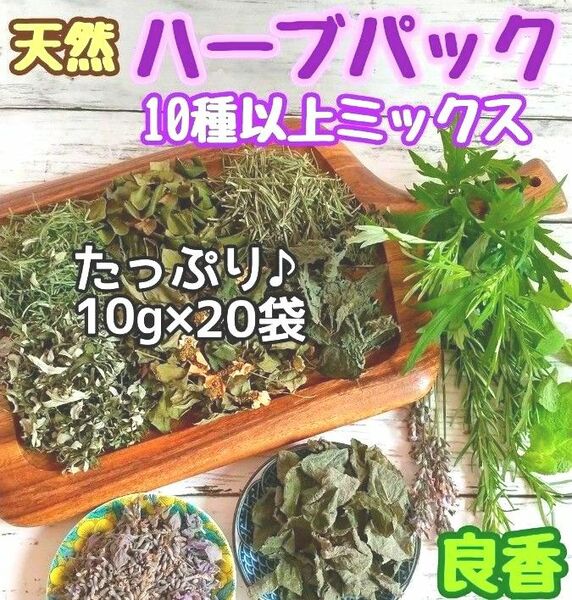 天然 和ハーブバスパック 【10g×20袋】10種以上♪ ◎ハーブ湯 ハーブ蒸し