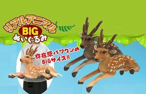 リアルアニマル　BIGぬいぐるみ　シカ　全２体セット