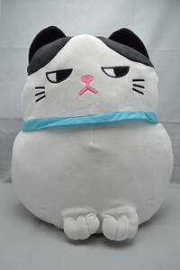 もちっこ　もちねこ　BIG　ぬいぐるみ　約４０cm