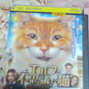 エルフと不思議な猫 レンタルアップ