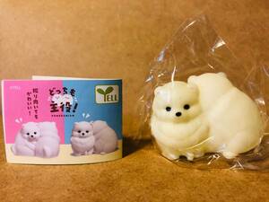 どっちも主役！POMERANIAN【くりーむ】ガチャ