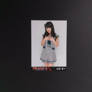 NMB48 生写真 見逃した君たちへ2 〜AKB48グループ全公演〜 DVD特典 山田菜々