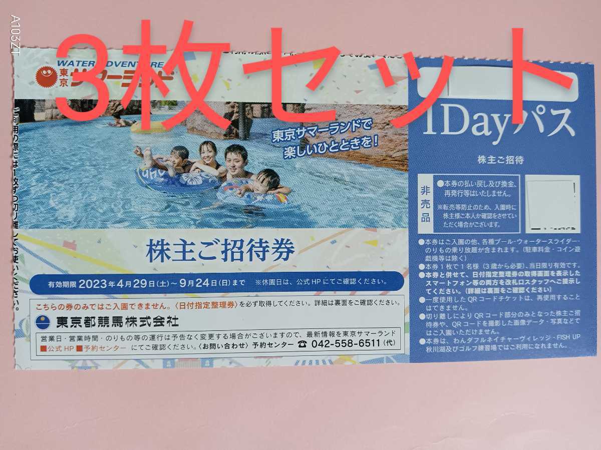 東京サマーランド 4枚 株主優待 7月8月も使えます-