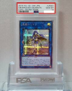 遊戯王 PSA10 完美品 シークレット 星鍵士リイヴ 鑑定品 シク LVP3