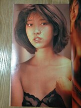 GORO 1983年 NO.21 荻野目慶子 春やすこ 森尾由美 斉藤慶子 他 雑誌ゴロー 昭和アイドル レトロ_画像6