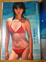 GORO 1983年 NO.21 荻野目慶子 春やすこ 森尾由美 斉藤慶子 他 雑誌ゴロー 昭和アイドル レトロ_画像3