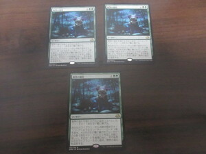 MTG　異界の進化　日本語