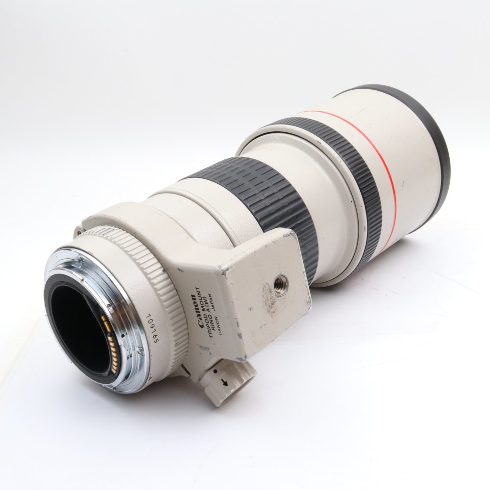Canonキヤノン望遠レンズEF300mm F4L | chivalrygames.com