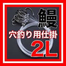 穴釣り　ウナギ穴釣り　うなぎ穴釣り　鰻穴釣り　ウナギ　鰻　うなぎ　鰻釣り　ウナギ釣り　うなぎ釣り　うなぎ針　鰻針　ウナギ針　穴釣り_画像1