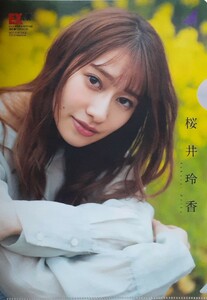 桜井玲香（Ｂ５）クリアファイル 同梱可