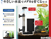 GEX メダカ元気 メダカのための水槽セット200CUBE 熱帯魚 観賞魚用品 水槽 セット水槽 ジェックス_画像3