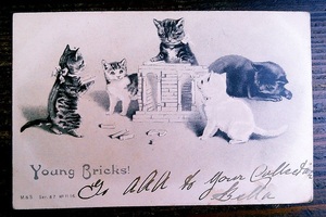 猫(10) Helena Maguire A57◆アンティークポストカード フランス ドイツ ベルギー イタリア イギリス ネコ ねこ 子猫 ビンテージ絵葉書