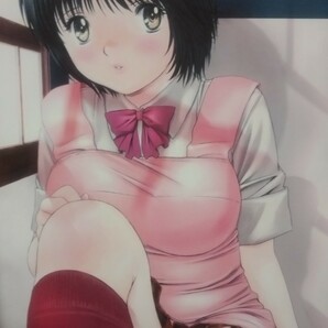 こばやしひよこ 画集 おくさまは女子高生 2005年9月30日 第1版発行の画像3