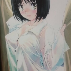 こばやしひよこ 画集 おくさまは女子高生 2005年9月30日 第1版発行の画像8