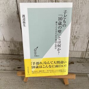 子どもの「１０歳の壁」とは何か？　乗りこえるための発達心理学 （光文社新書　５１４） 渡辺弥生／著