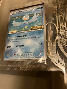 送料無料 ポケモンキッズ 15周年 コアルヒー 未開封品 プロモ BW-P ポケモンカード 即決 ミモザ sar キハダ ナンジャモ ポケキュン キハダ