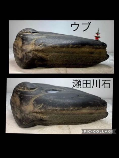 2023年最新】ヤフオク! -水石 溜まり(花、園芸)の中古品・新品・未使用