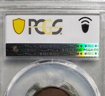 【大珍品】◆『PCGS MS61BN』10円 両面無刻印 エラーコイン◆検）福耳 影打エラー 円銀 貿易銀 判金 小判 穴ズレ 一圓銀貨 甲州金 _画像7