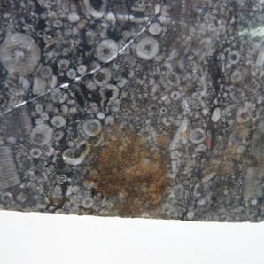 (☆BM)【感謝特別価格】タイル 石製 ストーン 30枚セット 20㎝×20㎝ ダークグレー 化石 内装/外装 建築材料 床 外壁 モダン DIY 素材の画像8