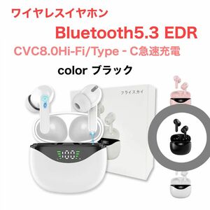 イヤホンBluetooth5.3 CVC8.0Hi-Fi/Type‐C急速充電