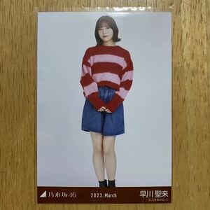 乃木坂46 早川聖来 ビッグボーダー 生写真 ヒキ 1枚 検) web 限定 月別 2023.March