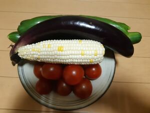 野菜詰め合わせ 家庭用