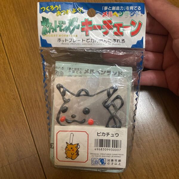 ポケットモンスター キーチェーン