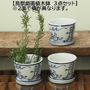 そば猪口型植木鉢　鳥獣戯画　兎　蛙　猿　3個　多肉植物 植木鉢　盆栽　ミニ盆栽　苔　サボテン