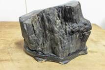 ▲て-190 木化石　天然石　化石　珪化石　盆石　鑑賞石　オブジェ　置物　高さ21cm幅27cm奥行14cm重さ9kg_画像2